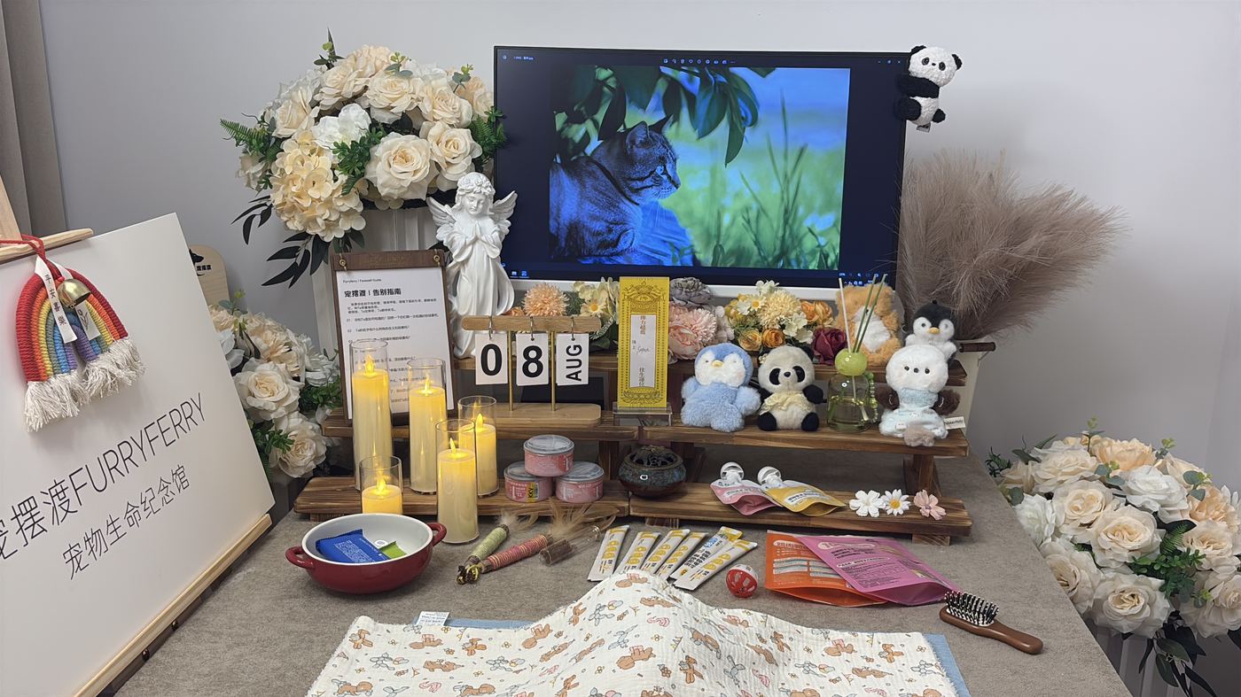 如何面对宠物离世的悲伤？写给柳州养宠人的心理支持
