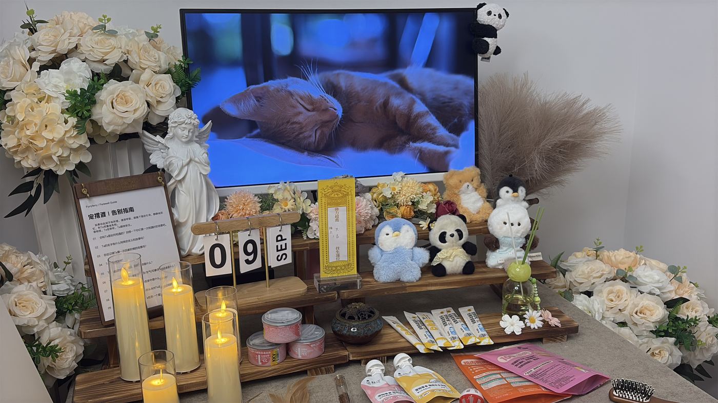 不需要为难过道歉