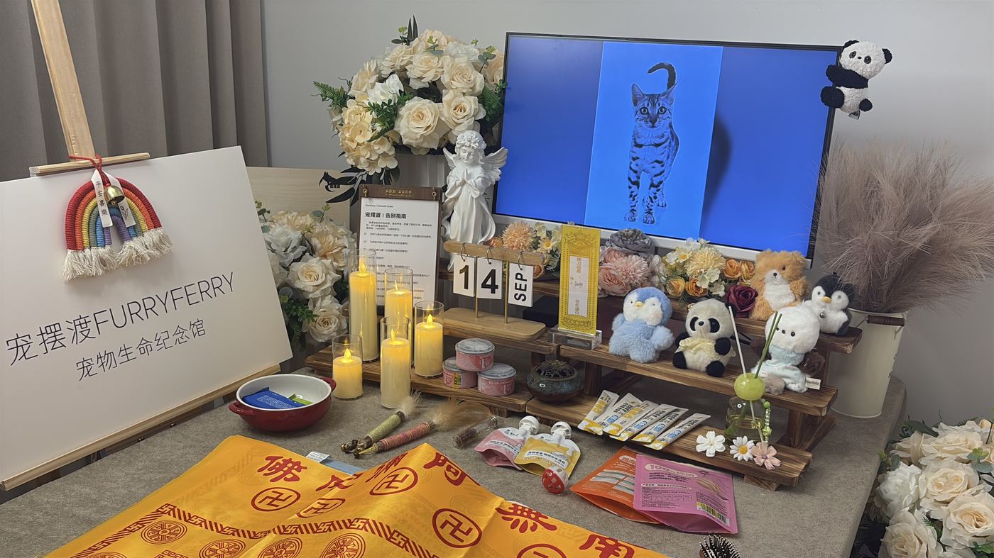 一、办理全流程说明